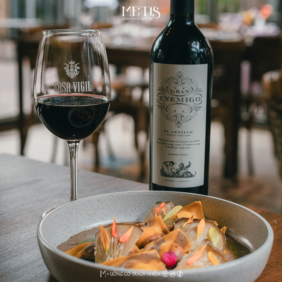 Rượu Vang Gran Enemigo El Cepillo Single Vineyard Cabernet Franc 2019 - Ảnh 4