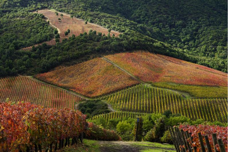 Rượu vang trắng Lapostoile Grand Selecton Sauvignon Blanc